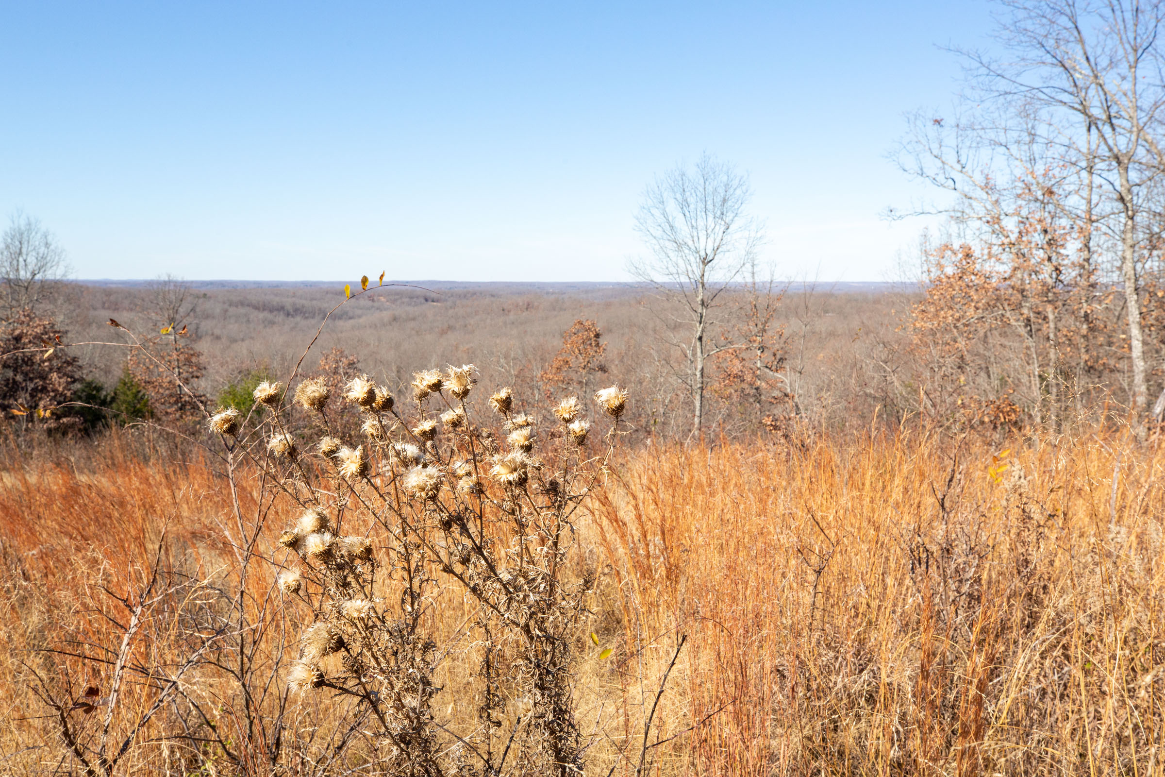 Tract 2 at Dutchmanhollow in Fulton County, Arkansas