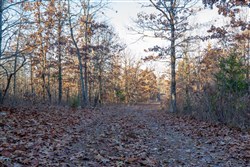 property photo for Dutchmanhollow Tract 4, 6.36 acres for sale in Fulton County, Arkansas