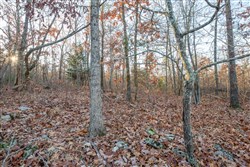 property photo for Dutchmanhollow Tract 4, 6.36 acres for sale in Fulton County, Arkansas