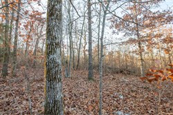 property photo for Dutchmanhollow Tract 4, 6.36 acres for sale in Fulton County, Arkansas