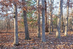 property photo for Dutchmanhollow Tract 4, 6.36 acres for sale in Fulton County, Arkansas