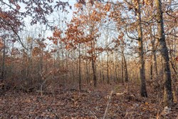 property photo for Dutchmanhollow Tract 4, 6.36 acres for sale in Fulton County, Arkansas