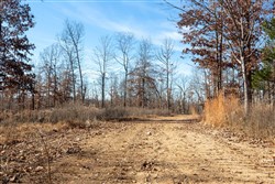 property photo for Dutchmanhollow Tract 5, 6.55 acres for sale in Fulton County, Arkansas
