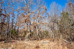 property photo for Dutchmanhollow Tract 5, 6.55 acres for sale in Fulton County, Arkansas