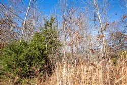 property photo for Dutchmanhollow Tract 5, 6.55 acres for sale in Fulton County, Arkansas