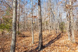 property photo for Dutchmanhollow Tract 5, 6.55 acres for sale in Fulton County, Arkansas