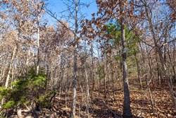 property photo for Dutchmanhollow Tract 5, 6.55 acres for sale in Fulton County, Arkansas