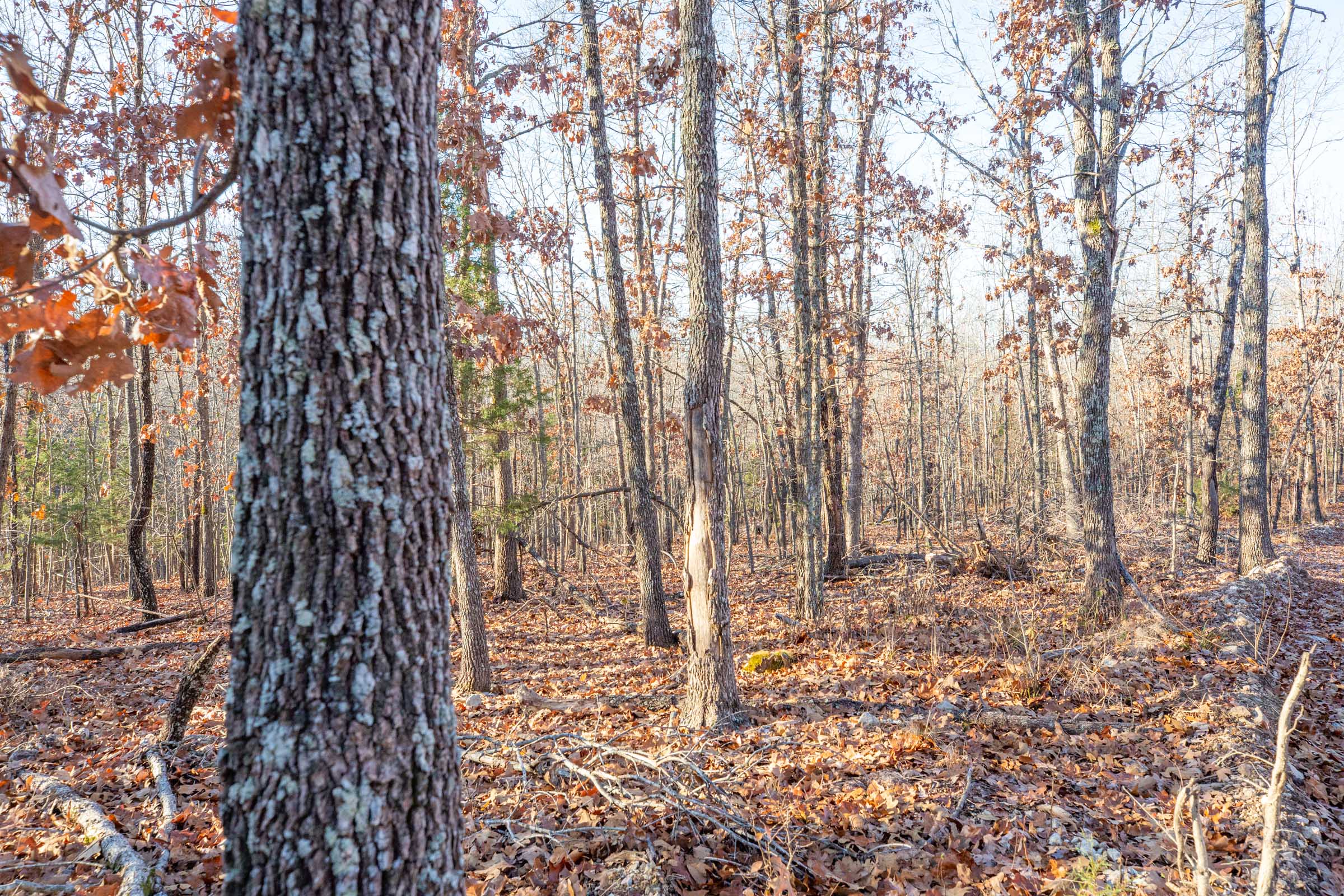 Tract 8 at Dutchmanhollow in Fulton County, Arkansas