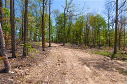 property photo for Lazybrook Tract 12, 7.1 acres for sale in Fulton County, Arkansas