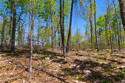 property photo for Lazybrook Tract 12, 7.1 acres for sale in Fulton County, Arkansas
