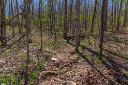 property photo for Lazybrook Tract 12, 7.1 acres for sale in Fulton County, Arkansas