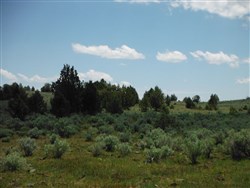 property photo for Moon Valley Ranch Tract 154, 20.62 acres for sale in Lassen County, California
