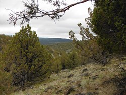 property photo for Moon Valley Ranch Tract 154, 20.62 acres for sale in Lassen County, California