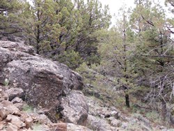 property photo for Moon Valley Ranch Tract 154, 20.62 acres for sale in Lassen County, California