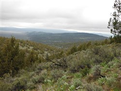 property photo for Moon Valley Ranch Tract 154, 20.62 acres for sale in Lassen County, California