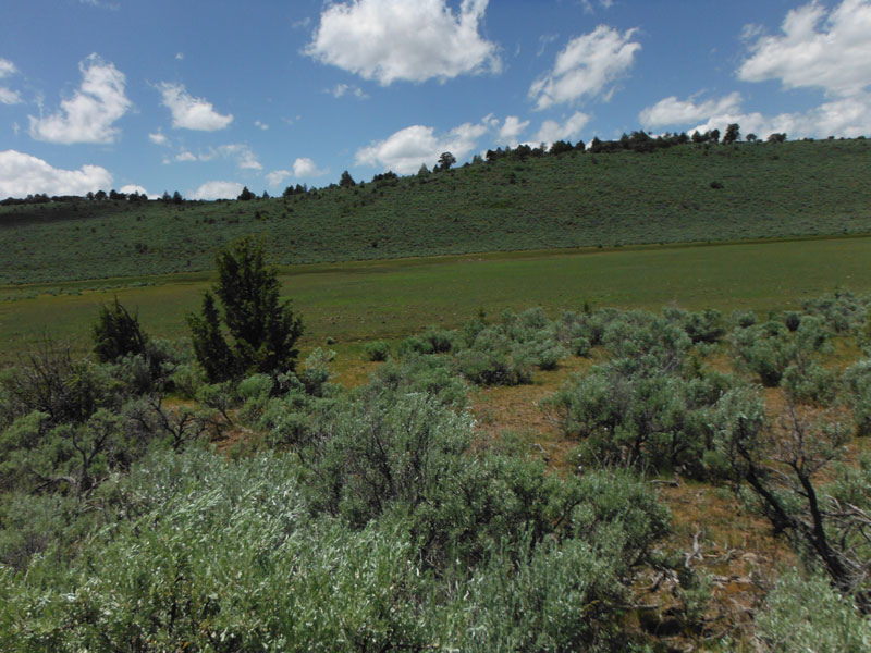 Tract 31 at Moon Valley Ranch in Lassen County, California