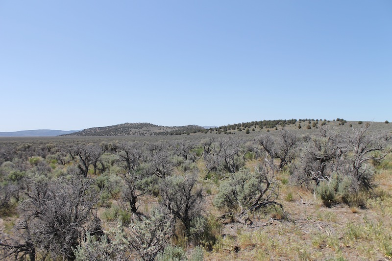 Tract 331 at Moon Valley Ranch in Lassen County, California
