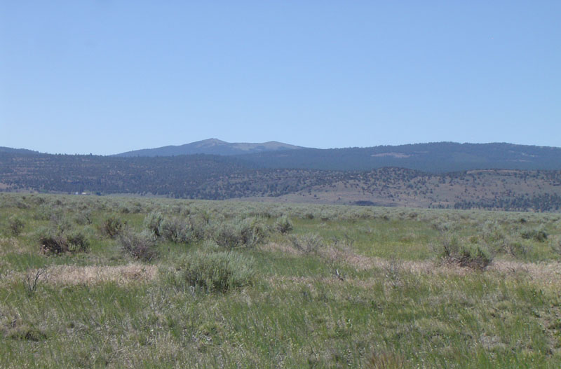 Tract 338 at Moon Valley Ranch in Lassen County, California