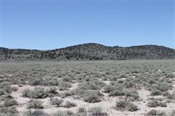 property photo for Moon Valley Ranch Tract 442, 20.1 acres for sale in Lassen County, California