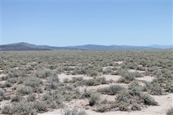 property photo for Moon Valley Ranch Tract 442, 20.1 acres for sale in Lassen County, California