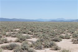 property photo for Moon Valley Ranch Tract 442, 20.1 acres for sale in Lassen County, California