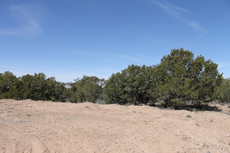 Tract 4101 at Sangre De Cristo Ranches in Costilla County, Colorado
