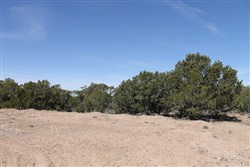 property photo for Sangre De Cristo Ranches Tract 4101, 5.14 acres for sale in Costilla County, Colorado