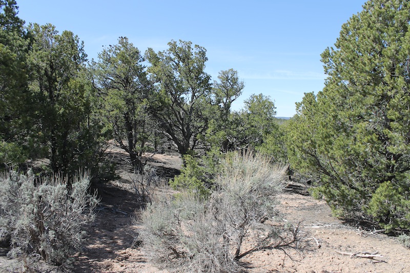 Tract 4691 at Sangre De Cristo Ranches in Costilla County, Colorado