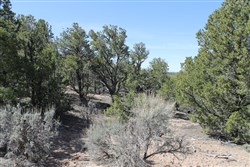 property photo for Sangre De Cristo Ranches Tract 4691, 5.02 acres for sale in Costilla County, Colorado