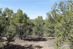property photo for Sangre De Cristo Ranches Tract 4691, 5.02 acres for sale in Costilla County, Colorado