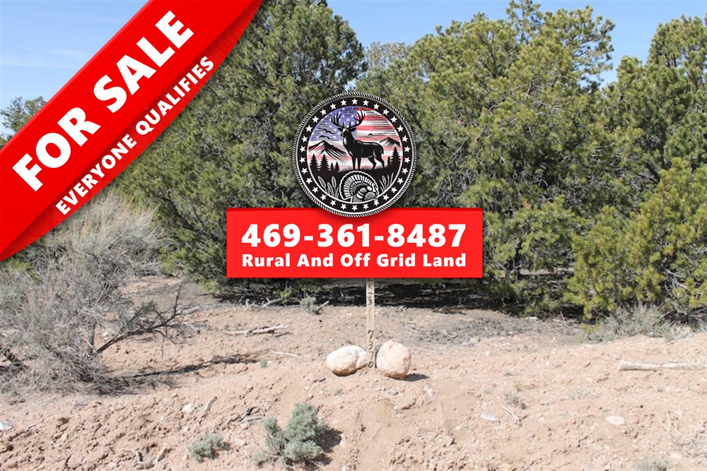 5.02 acre rural land tract for sale at Sangre De Cristo Ranches Tract 4691 in Costilla County, Colorado