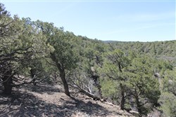 property photo for Sangre De Cristo Ranches Tract 5269, 5.02 acres for sale in Costilla County, Colorado