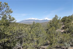 property photo for Sangre De Cristo Ranches Tract 8, 5.29 acres for sale in Costilla County, Colorado