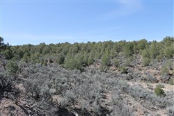 property photo for Sangre De Cristo Ranches Tract 8, 5.29 acres for sale in Costilla County, Colorado