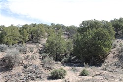 property photo for Sangre De Cristo Ranches Tract 8, 5.29 acres for sale in Costilla County, Colorado