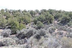 property photo for Sangre De Cristo Ranches Tract 8, 5.29 acres for sale in Costilla County, Colorado