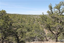 property photo for Sangre De Cristo Ranches Tract 959, 5.11 acres for sale in Costilla County, Colorado