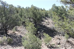 property photo for Sangre De Cristo Ranches Tract 959, 5.11 acres for sale in Costilla County, Colorado