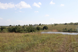 property photo for Cowboy Meadows Tract 25, 13.35 acres for sale in Chautauqua County, Kansas