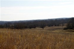 property photo for Cowboy Meadows Tract 25, 13.35 acres for sale in Chautauqua County, Kansas
