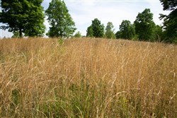 property photo for Laurel Ridge Tract 2, 5.09 acres for sale in Casey County, Kentucky