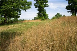 property photo for Laurel Ridge Tract 2, 5.09 acres for sale in Casey County, Kentucky