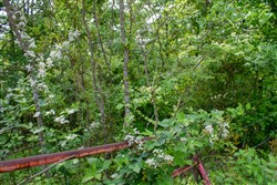 property photo for Laurel Ridge Tract 2, 5.09 acres for sale in Casey County, Kentucky