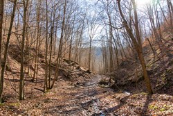 property photo for Blackstone Mountain Tract 11, 21.97 acres for sale in Clay County, Kentucky