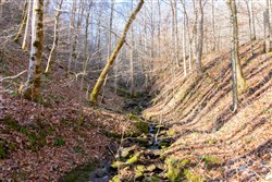 property photo for Blackstone Mountain Tract 11, 21.97 acres for sale in Clay County, Kentucky