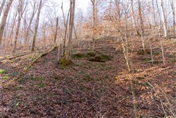 property photo for Blackstone Mountain Tract 11, 21.97 acres for sale in Clay County, Kentucky