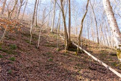 property photo for Blackstone Mountain Tract 11, 21.97 acres for sale in Clay County, Kentucky