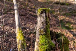 property photo for Blackstone Mountain Tract 11, 21.97 acres for sale in Clay County, Kentucky