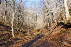 property photo for Blackstone Mountain Tract 11, 21.97 acres for sale in Clay County, Kentucky