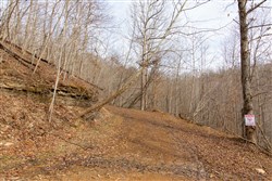 property photo for Blackstone Mountain Tract 27, 13.99 acres for sale in Clay County, Kentucky